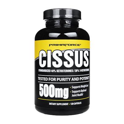 シッサス(PrimaForce)