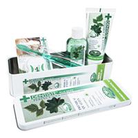 デンティス・プレミアム歯みがきセット