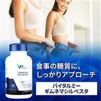 ギムネマシルベスタ(バイタルミー)